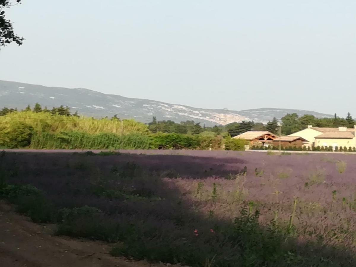 Au Pays Du Ventoux Bed and Breakfast Le Thor Buitenkant foto