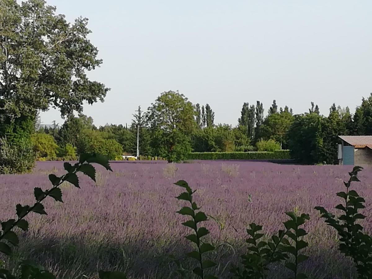 Au Pays Du Ventoux Bed and Breakfast Le Thor Buitenkant foto