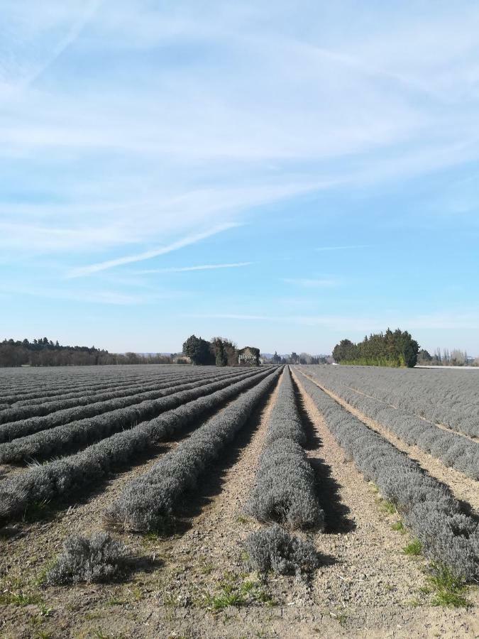 Au Pays Du Ventoux Bed and Breakfast Le Thor Buitenkant foto